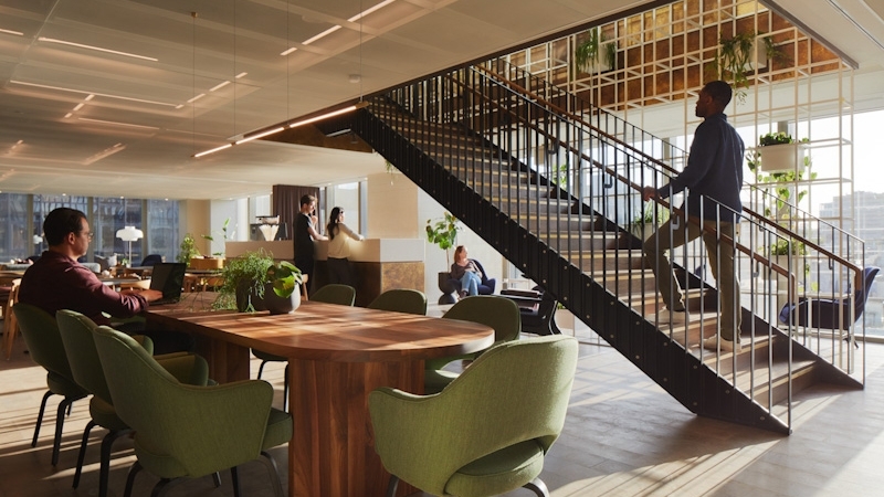 Plants in the office: how biophilia can enhance your workspace and improve employee motivation